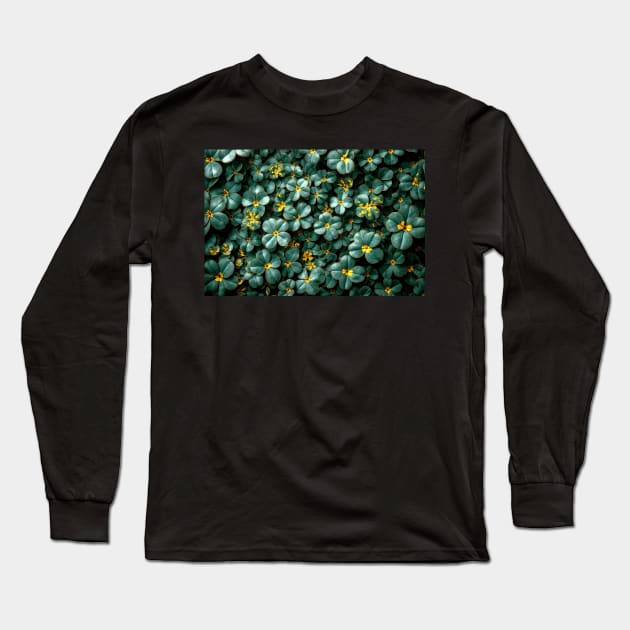 Four Leaf Clovers - Landscape Long Sleeve T-Shirt by jecphotography